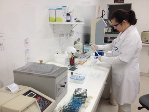 Laboratório 1