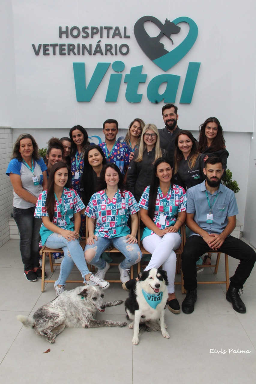 Banho e Tosa - Vital Pets - Clínica Veterinária & Petshop